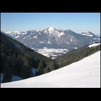 hochgern tak gernot wildschuette 2010 020 IMG_0600.jpg